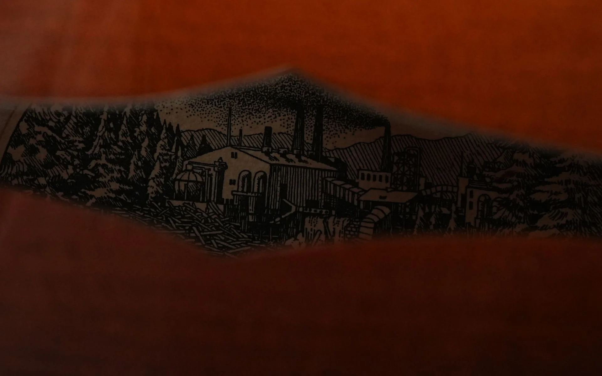 Thumbnail 13